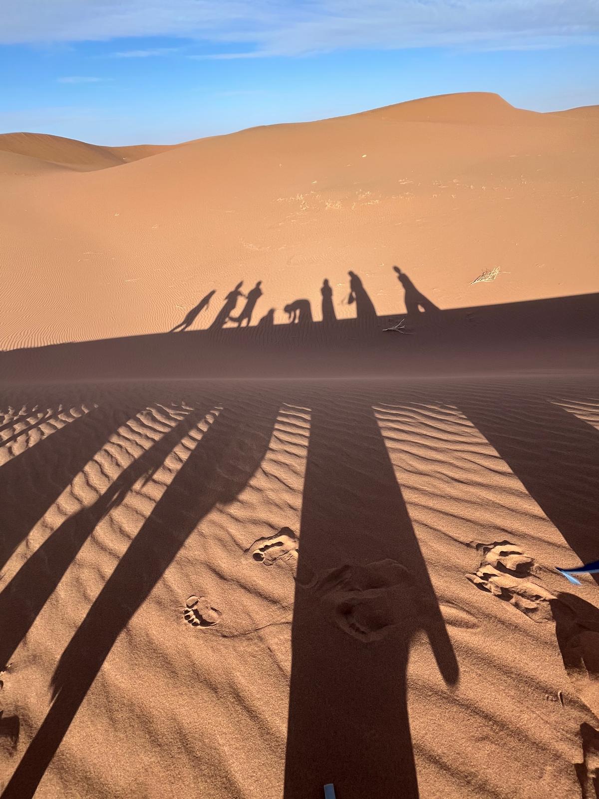 Joue avec tes ombres